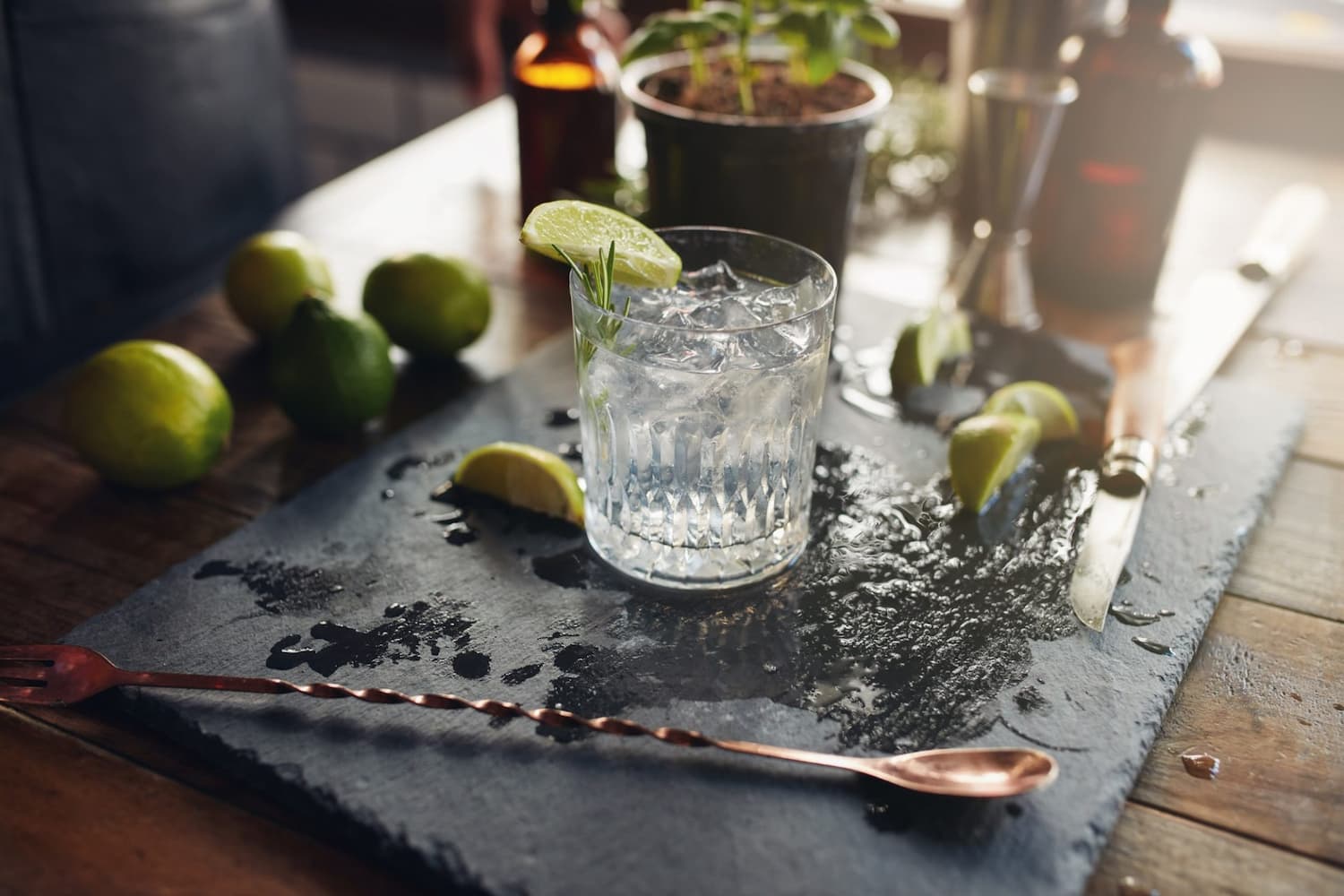 glass-of-a-freshly-prepared-gin-and-tonic (1)